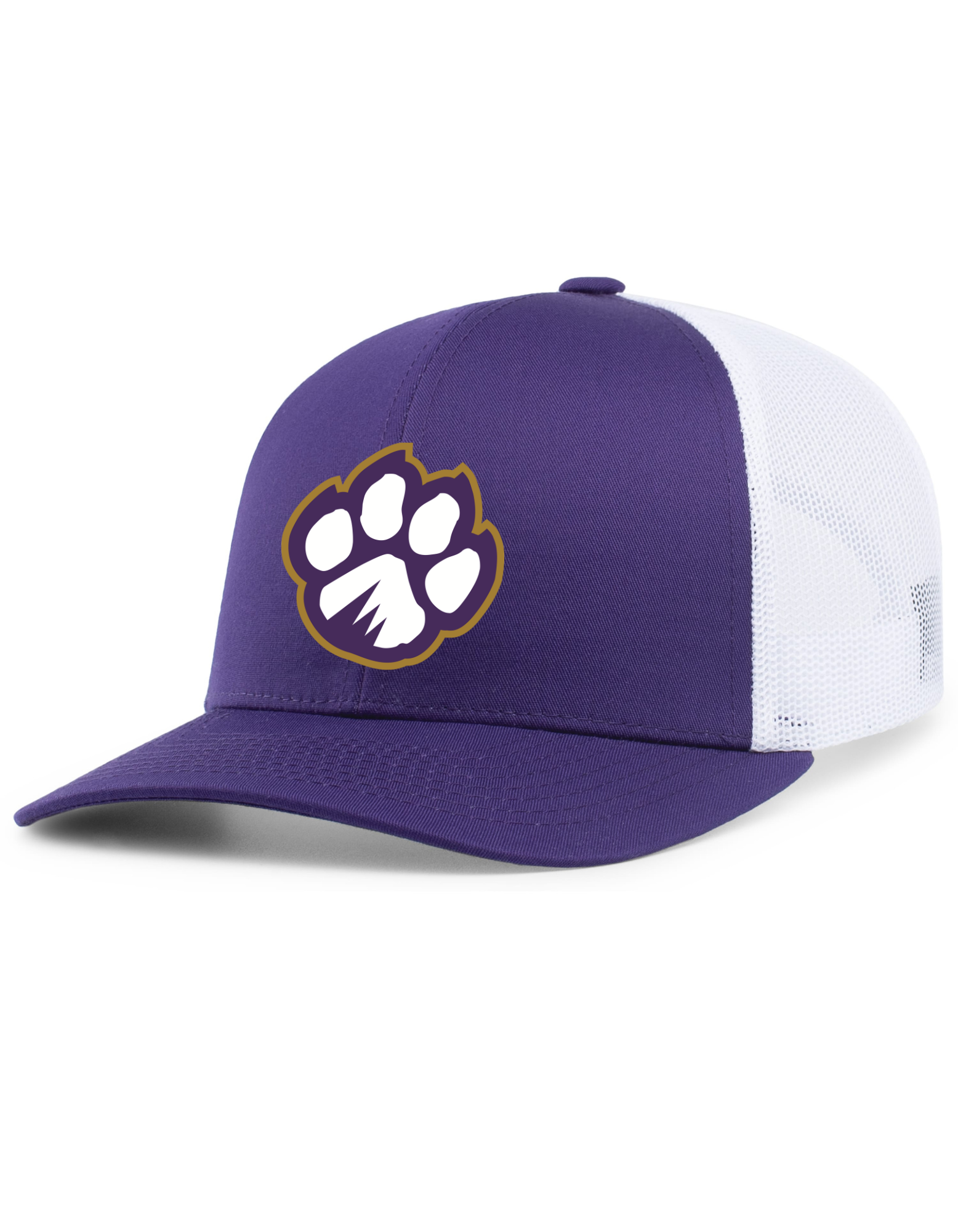 Tiger Head Snapback Fitted Hat - Purple/White