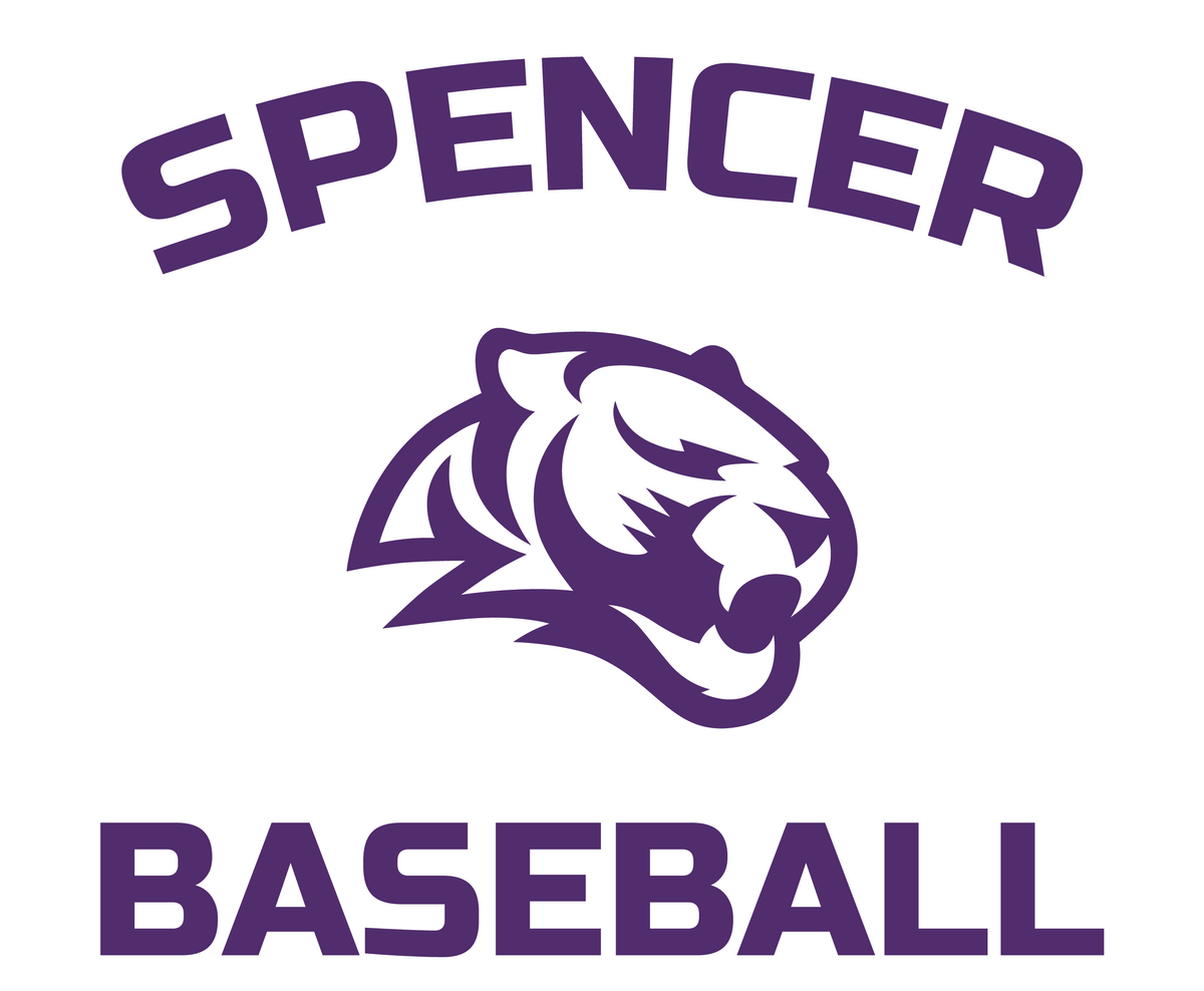 Car Decal | Tigers Baseball