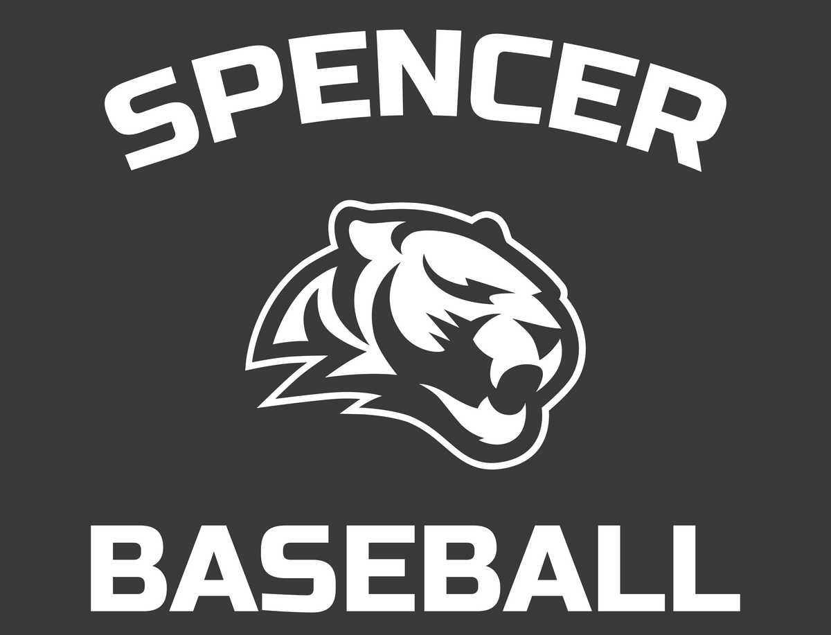 Car Decal | Tigers Baseball