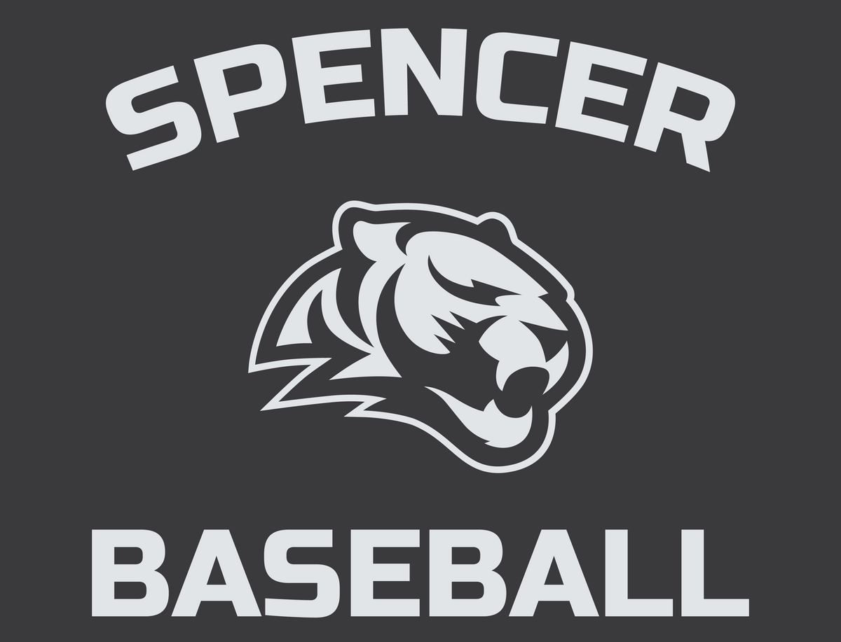 Car Decal | Tigers Baseball