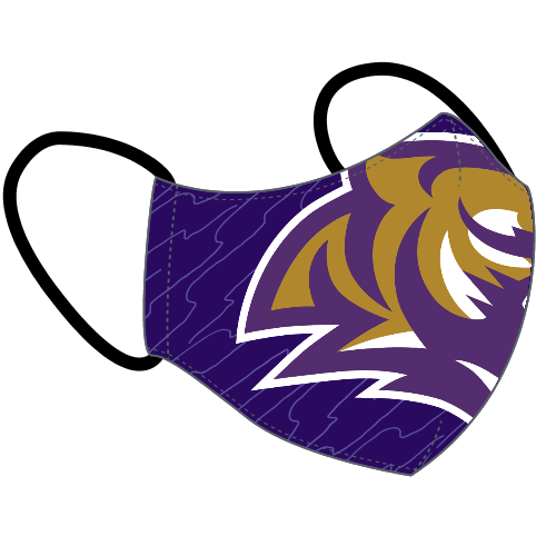 CLEARANCE | Youth Tiger Head Abstract Mask